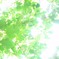 光あふれて。