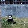 This is CHINA