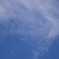 DSC01217