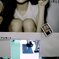 GiRLS
