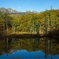 紅葉に染まる乗鞍と月