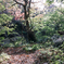 SDIM1476