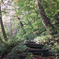 SDIM1501