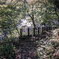 SDIM1436