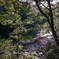 SDIM1438
