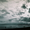 After a Rain