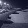 雪の載った翼