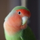 チーズ♪