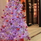 クリスマス　ツリー