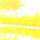 mizutamari