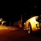 night sports