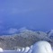 名も知らぬ山々
