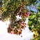 2014-10-15 11-51-01