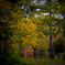 Welcome to the Autumn