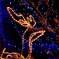 DSC04093r1
