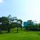 公園の丘