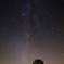 コナラと夜空