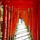 根津神社