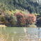 あやめ池