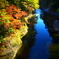 薬研渓流の秋 XIV