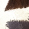 IMGP2002