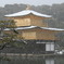 雪の金閣寺