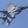 航空観閲式事前公開　F-15J機動飛行