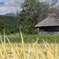 御机の茅葺小屋　大山編