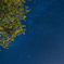 自宅の裏の星空