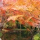 2010 紅葉