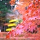 2010 紅葉