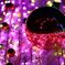 DREAM BALL