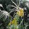 DSCN0690