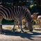 20141017_102846_K-5