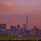 首都高