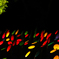 colorful