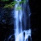 初秋の箕面滝