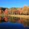 秋の朝 女神湖