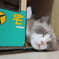 仕事おつかれさま