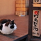 看板猫