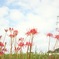 閉じゆく思い出の中で