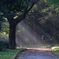 公園２