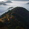 小入峠の雲海