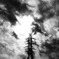 見上げた空