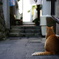 一人の時間