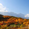 八方尾根の紅葉