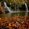 Waterfall of autumn color