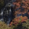霧降