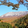 鍵かけ峠からの大山紅葉