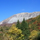 鍵かけ峠からの大山紅葉